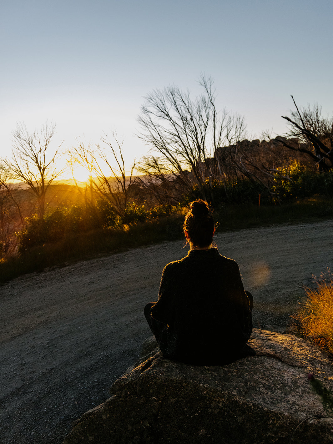 Meditation and Movement Retreats
